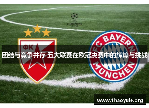 团结与竞争并存 五大联赛在欧冠决赛中的辉煌与挑战 团结与竞争并存 五大联赛在欧冠决赛中的辉煌与挑战