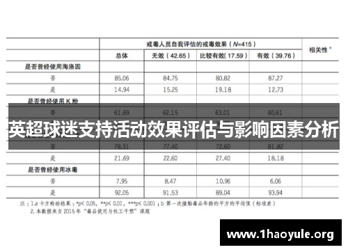 英超球迷支持活动效果评估与影响因素分析 英超球迷支持活动效果评估与影响因素分析