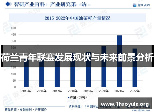 荷兰青年联赛发展现状与未来前景分析 荷兰青年联赛发展现状与未来前景分析
