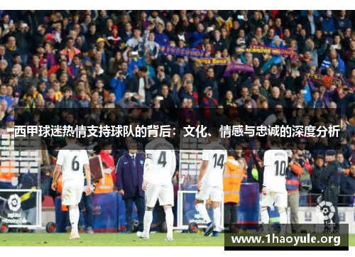 西甲球迷热情支持球队的背后:文化、情感与忠诚的深度分析 西甲球迷热情支持球队的背后:文化、情感与忠诚的深度分析