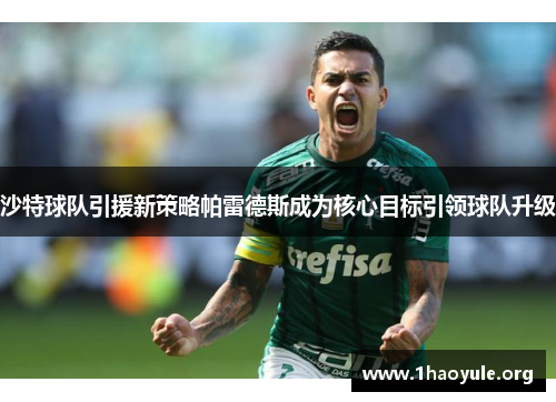 沙特球队引援新策略帕雷德斯成为核心目标引领球队升级 沙特球队引援新策略帕雷德斯成为核心目标引领球队升级
