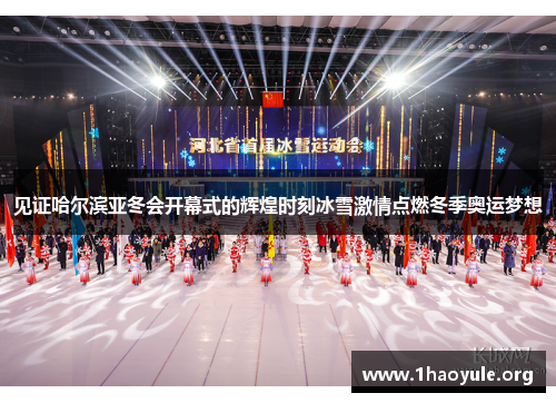 见证哈尔滨亚冬会开幕式的辉煌时刻冰雪激情点燃冬季奥运梦想 见证哈尔滨亚冬会开幕式的辉煌时刻冰雪激情点燃冬季奥运梦想